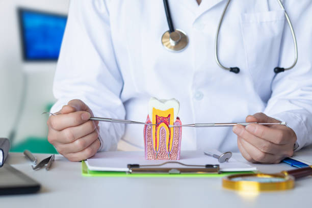 Best Emergency Dental Extractions in Monaca, PA